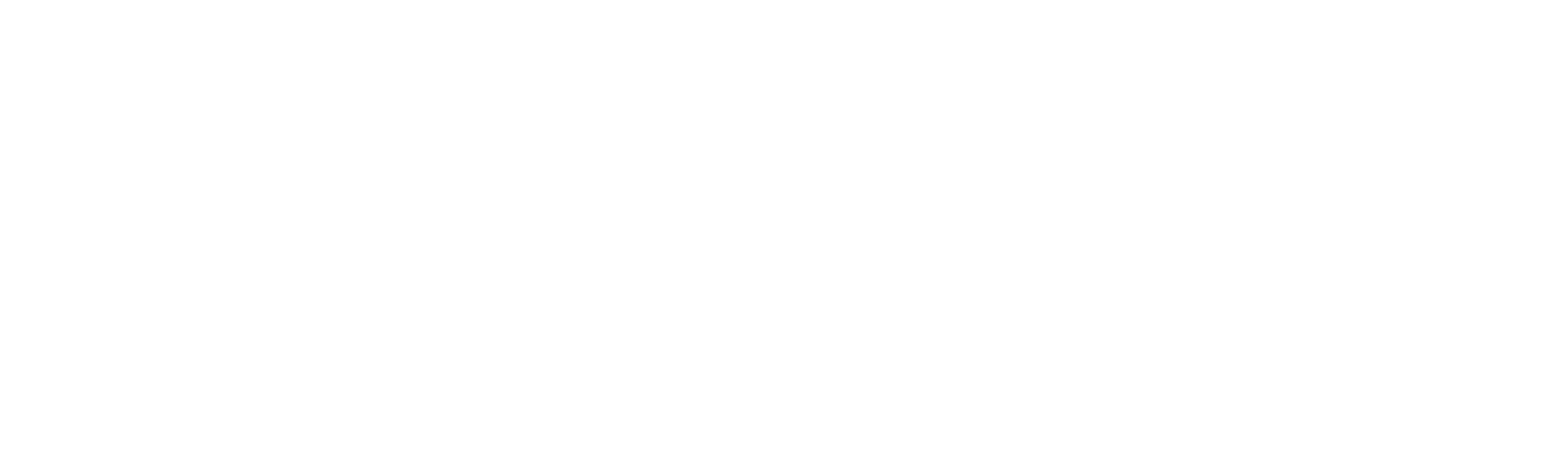 Spellvoc logo in white
